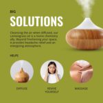 Lab Bulks Essential Oil Lemongrass Essential Oil 16 oz (473 ml) for Diffusers, Home Care, Candles, Hair, Lemon Grass Spray - Image 5