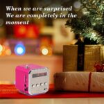 Eboxer Portable Mini Speaker Music Player FM Radio Stereo Speaker Support TF Card and U Disk, Brief Design, Perfect Mini Speaker for Room Bike Car for Phone/Tablet/Computer (Rose Red) - Image 5