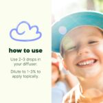 Plant Therapy KidSafe Calming The Child Essential Oil Blend - Relaxing and Soothing Blend 100% Pure, KidSafe, Undiluted, Natural Aromatherapy, Therapeutic Grade 10 mL (1/3 oz) - Image 3
