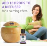 Garden of Life Essential Oil, Lavender 0.5 fl oz (15 mL), 100% USDA Organic & Pure, Clean, Undiluted & Non-GMO - for Diffuser, Aromatherapy, Meditation, Skincare, Sleep - Calming, Relaxing, Soothing - Image 4