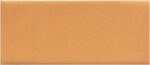 SALKING Autumn Fragrance Oils, Premium Fall Essential Oils for Diffuser, Scented Oils Gift Set for Soap Candle Making Scents - Cinnamon, Pumpkin Spice, Apple Cider, Vanilla, Forest Pine, Snickerdoodle - Image 11