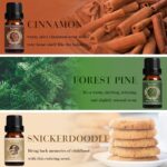 SALKING Autumn Fragrance Oils, Premium Fall Essential Oils for Diffuser, Scented Oils Gift Set for Soap Candle Making Scents - Cinnamon, Pumpkin Spice, Apple Cider, Vanilla, Forest Pine, Snickerdoodle - Image 5