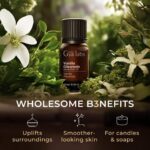 Gya Labs Vanilla Essential Oil - 0.34 Fl Oz - for Hair, Skin, Diffuser, Aromatherapy & DIY Candle Making Scent - Image 6