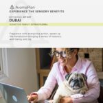 AromaPlan Hotel Scents Dubai 5 Fl Oz (148ml), Home Luxury Aroma & Hotel Fragrance Diffuser Oil- Hotel Diffuser Oil for Aromatherapy- USA Made, Bigger Bottle, Bolder Aroma & Longer Lasting - Image 6