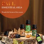 SALKING Autumn Fragrance Oils, Premium Fall Essential Oils for Diffuser, Scented Oils Gift Set for Soap Candle Making Scents - Cinnamon, Pumpkin Spice, Apple Cider, Vanilla, Forest Pine, Snickerdoodle - Image 3