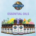 Garden of Life Essential Oil, Lavender 0.5 fl oz (15 mL), 100% USDA Organic & Pure, Clean, Undiluted & Non-GMO - for Diffuser, Aromatherapy, Meditation, Skincare, Sleep - Calming, Relaxing, Soothing - Image 8