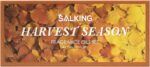 SALKING Autumn Fragrance Oils, Premium Fall Essential Oils for Diffuser, Scented Oils Gift Set for Soap Candle Making Scents - Cinnamon, Pumpkin Spice, Apple Cider, Vanilla, Forest Pine, Snickerdoodle - Image 9