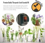 Lavender Essential Oil, 16 Ounce, Therapeutic Grade for Aromatherapy, Candle & Soap Making, Diffusers & Home, Lavender Oil - Image 4