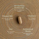 New Chapter Women's Multivitamin for Immune, Beauty + Energy Support with Fermented Nutrients - Every Woman's One Daily, Made with Organic Vegetables & Herbs, Non-GMO, Gluten Free, 48 Count - Image 4