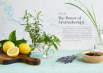 Aromatherapy for Beginners: The Complete Guide to Getting Started with Essential Oils - Image 4