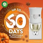 Air Wick Scented Oils 0+5 Pumpkin Spice - Image 3