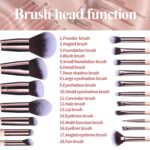 BS-MALL Makeup Brushes Premium Synthetic Foundation Powder Concealers Eye Shadows 18 Pcs Brush Set with 5 sponge & Holder Sponge Case (A-Pink) - Image 4