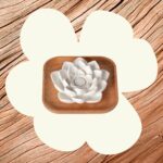 Plant Therapy Passive Lotus Flower Aromatherapy Diffuser - A Chic and Natural Home, Office, and Travel Essential Oil Diffuser - Image 4