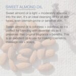 Pure Body Naturals Sweet Almond Oil for Hair and Skin, 100% Pure and Cold Pressed, Hexane Free, Skin Moisturizer, Nails, Therapeutic Massage, Carrier Oil 16 Fl. Ounce (Label Varies) - Image 6