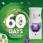 Air Wick Scented Oils 2+6 Lavender & Chamomile - Image 3