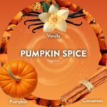 Air Wick Scented Oils 0+5 Pumpkin Spice - Image 5