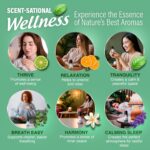 GuruNanda Essential Oil Blends (Set of 6) - Natural Essential Oil Set, Aromatherapy Oil Blends for Diffusers - Breathe Easy, Tranquility, Harmony, Calming Sleep, Relaxation & Thrive - Image 6