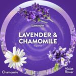 Air Wick Scented Oils 2+6 Lavender & Chamomile - Image 5