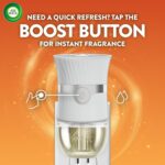 Air Wick Scented Oils 0+5 Pumpkin Spice - Image 10