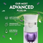 Air Wick Scented Oils 2+6 Lavender & Chamomile - Image 10