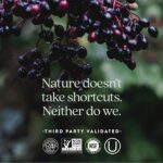 New Chapter Women's Multivitamin for Immune, Beauty + Energy Support with Fermented Nutrients - Every Woman's One Daily, Made with Organic Vegetables & Herbs, Non-GMO, Gluten Free, 48 Count - Image 6