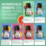 GuruNanda Essential Oil Blends (Set of 6) - Natural Essential Oil Set, Aromatherapy Oil Blends for Diffusers - Breathe Easy, Tranquility, Harmony, Calming Sleep, Relaxation & Thrive - Image 5