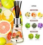 Reed Diffuser of 3 Pack, Escape/Citrus/Sandalwood, Scented Diffuser with 15 Fiber Sticks, Home Fragrance Oil Diffuser, Air Freshener for Bathroom & Bedroom, Each 1.7Fl Oz, Total 5.1Oz - Image 3