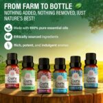 GuruNanda Essential Oil Blends (Set of 6) - Natural Essential Oil Set, Aromatherapy Oil Blends for Diffusers - Breathe Easy, Tranquility, Harmony, Calming Sleep, Relaxation & Thrive - Image 4