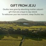 OSULLOC Premium Tea Collection (40 count, 10 flavors x 4 ea), Assorted Tea bag Sampler, Tea Gift sets for Tea lover, Self Care Gift Box, Premium Organic Pure & Blended Tea from Jeju - Image 8
