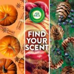 Air Wick Scented Oils 0+5 Pumpkin Spice - Image 7