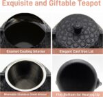 20.3oz Small Cast Iron Teapot, SECHUDO Tea Kettle for Stovetop Safe Coated with Enameled Interior, Japanese Style Tea Pot with Stainless Steel Infuser for Loose Tea (Black Gerbera Pattern) - Image 6