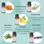 PURA D'OR Organic Perfect10 Essential Oils Set - 10x 10mL Wood Box Aromatherapy Gift Set - 100% Pure Therapeutic Grade for Relaxation and Wellness (Lavender, Peppermint, Eucalyptus, Tea Tree & More) - Image 5