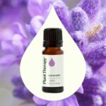 Plant Therapy Lavender Essential Oil 100% Pure, Undiluted, Therapeutic Grade, Aromatherapy Diffuser for Relaxation and Body Care, Healthy Skin and Hair, 10 mL (1/3 oz) - Image 4
